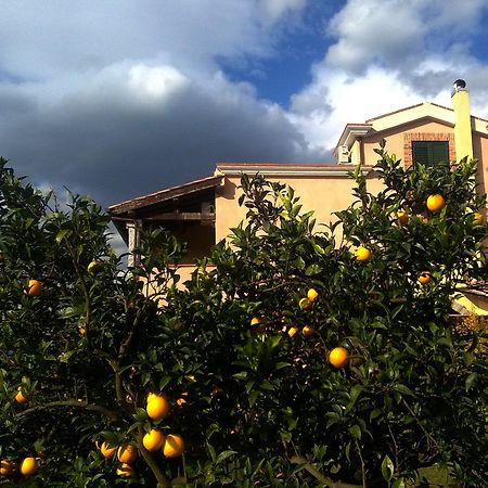 Su Canonigu Agriresort ตอร์โตลี ภายนอก รูปภาพ