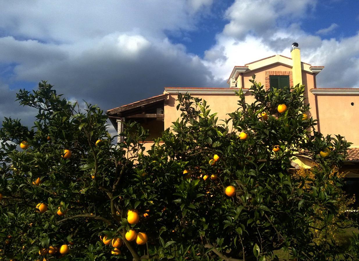 Su Canonigu Agriresort ตอร์โตลี ภายนอก รูปภาพ